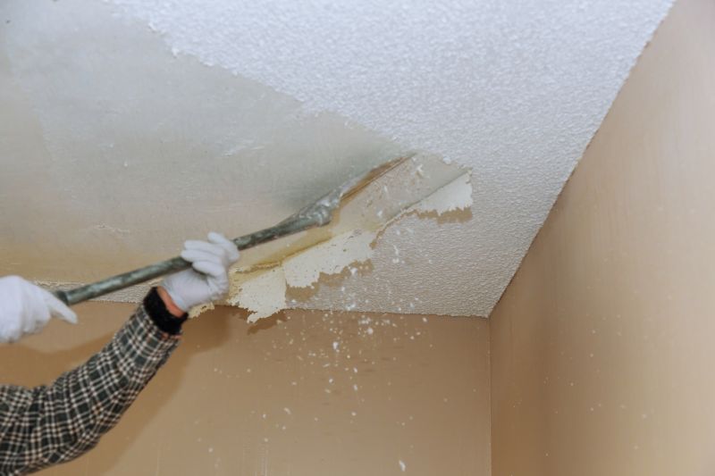 Ceiling Texture Removal detail